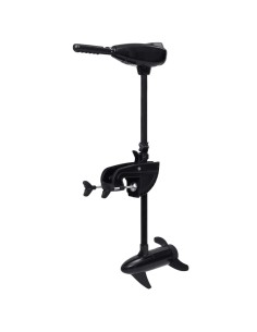 Motore per Barca da Pesca a Traina Elettrico P16 26 lb