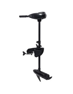 Motore per Barca da Pesca a Traina Elettrico P16 26 lb 2