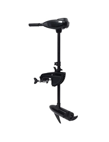 Motore per Barca da Pesca a Traina Elettrico P16 26 lb