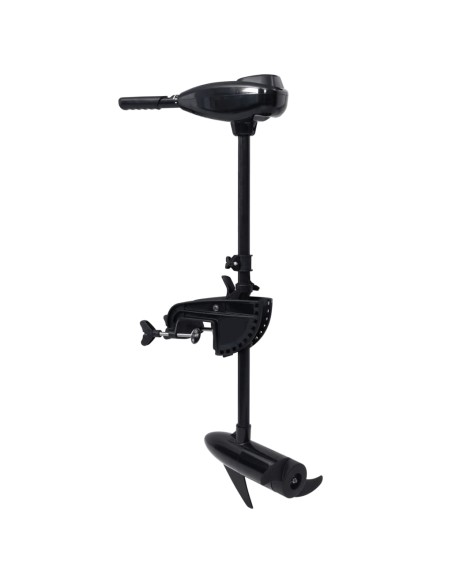 Motore per Barca da Pesca a Traina Elettrico P16 26 lb