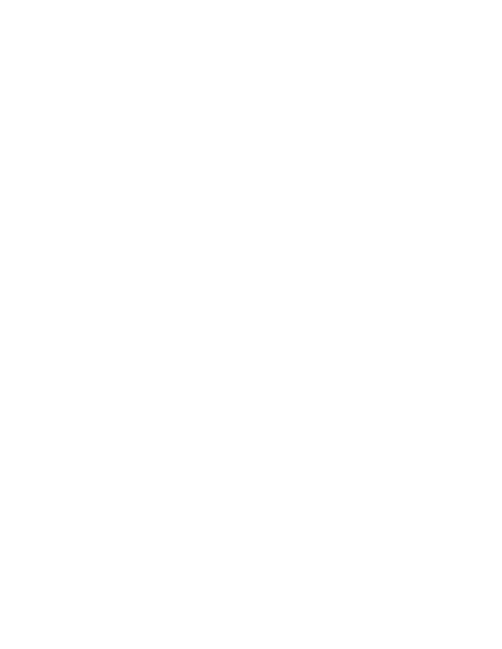 Veerubber VRM272 - 60/100-14 TT 29M ruota anteriore