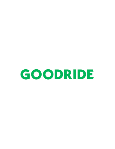 Goodride ZuperEco Z-107 - 205/55 R16 91V