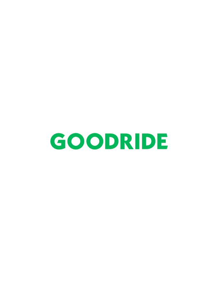 Goodride ZuperEco Z-107 - 205/55 R16 91V