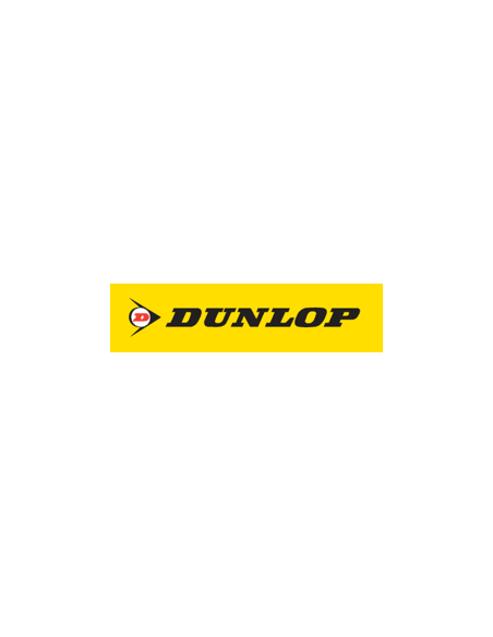 Dunlop D251 - 200/60 R16 TL 79V M/C, ruota posteriore