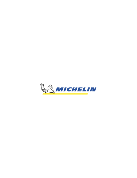 Michelin Road 6 - 170/60 ZR17 TL (72W) ruota posteriore, M/C