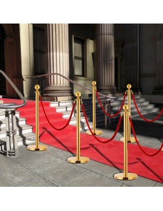 Set Transenne Separacode VIP 3 pz in Acciaio Inox Oro