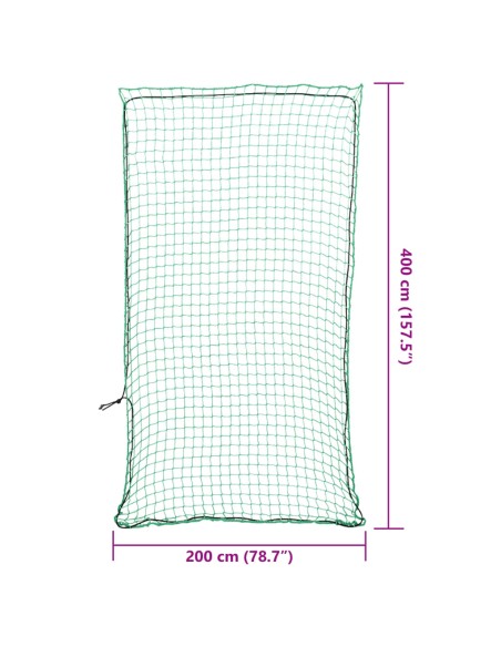 Rete per Rimorchio con Corda Elastica Verde 4x2 m in PP