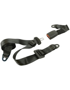 Carpoint Cintura di Sicurezza a 3 Punti Statica Nera