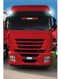 Bandiera luminosa 60 cm, 42 Led, 24V - Austria 2