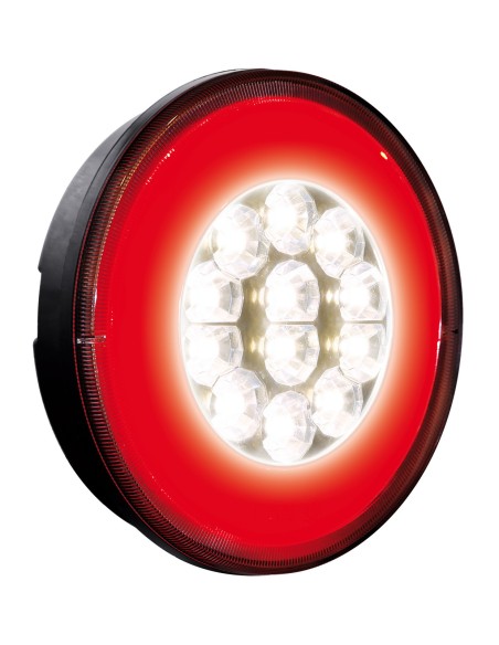 Reversing O-LED, fanale retromarcia e posizione a led, 12/24V