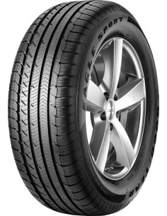 Goodyear Eagle Sport All-Season - 265/40 R20 104H XL AO, con protezione del cerchio (MFS)