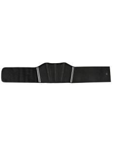T-Maxter Back, fascia elastica lombare 2