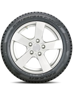 Falken WINTERPEAK F-SNOW 1 - 255/45 R20 105T XL, Nordic compound, con protezione del cerchio (MFS) 2