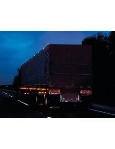 Dynamic O-Led, Fanale retronebbia, 3 funzioni, 12/24V - Destro 2