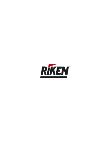 Riken Summer 3 - 205/50 ZR17 93W XL