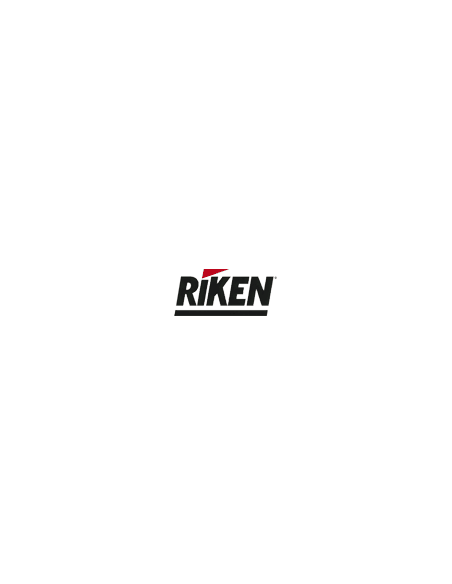 Riken Summer 3 - 205/50 ZR17 93W XL