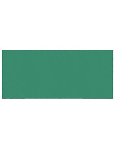 Rete per Rimorchio Verde 4x9 m HDPE