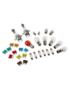 Kit lampade di ricambio 30 pz, alogena 2xH4 - 24V