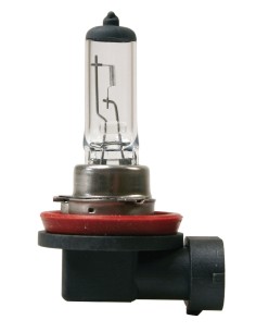 24V Lampada alogena - H11 - 70W - PGJ19-2 - 1 pz  - Scatola