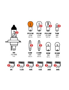 Kit lampade di ricambio 30 pz, alogena 2xH4 - 24V 2