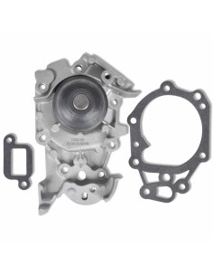 Pompa dell'Acqua Argento Metallo