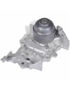 Pompa dell'Acqua Argento Metallo 2